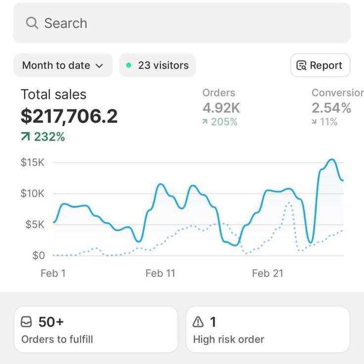 Shopify dashboard result for Ethan W.