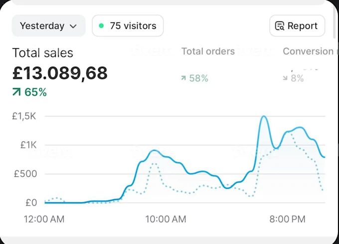 Shopify dashboard result for Marcus R.